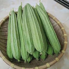 安福八角丝瓜500g