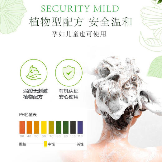 【分仓直发包邮】绿色溪谷凝脂滋养修护发膜480ml 商品图6