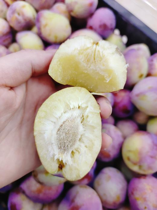 小园桃李子2斤 商品图2