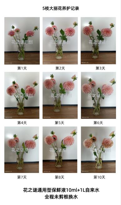 “花之谜”通用型鲜花保鲜剂10包/袋 商品图3