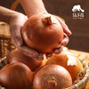 生态大漠洋葱（邮政包裹，买5斤送2斤） | 合作生产Ecological desert onion | Partner Production 商品缩略图1