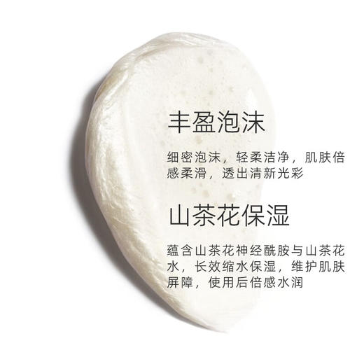 香奈儿山茶花泡沫保湿洁面乳(柔和净肤) 商品图2