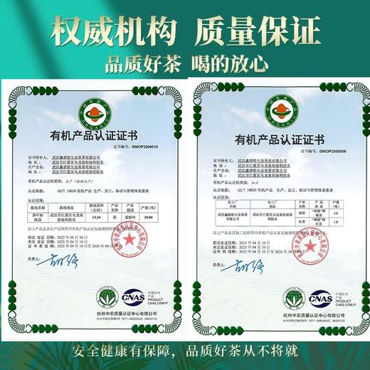 【武汉-江夏】江城百臻江夏碧舫 有机茶绿茶茶叶150g 商品图4
