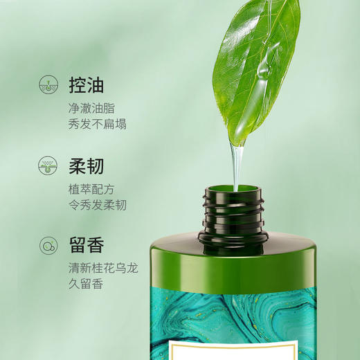 致朵香氛滋润控油洗发露500ml保湿滋养洗发液清洁清爽控油柔顺洗发水1瓶 商品图4
