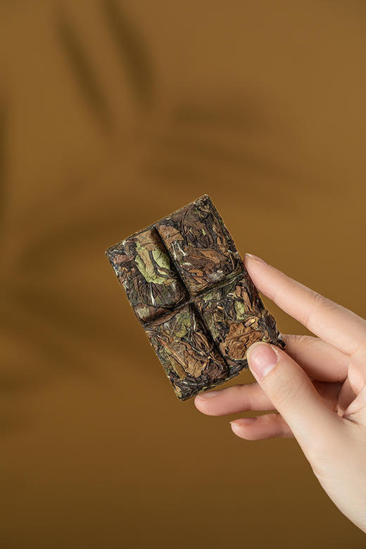 小幸福·紧压寿眉2020·简易装240g(20g*12) 商品图6