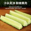 安福黄瓜500g 商品缩略图2