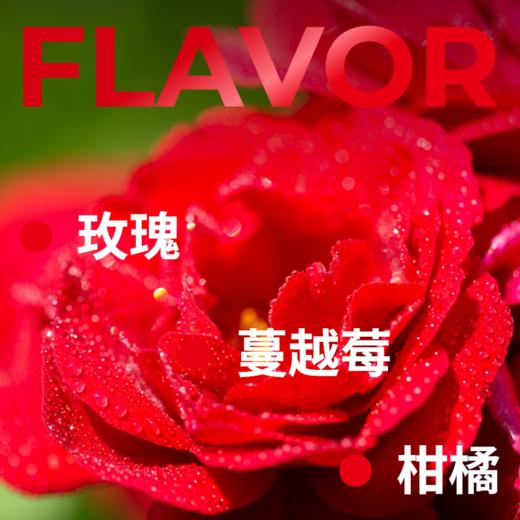 捌比特 巴拿马 翡翠庄园 绿标瑰夏 日晒 浅度烘焙 精品咖啡豆/100g 商品图2