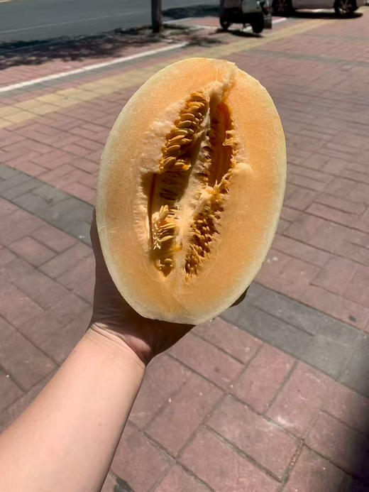 11.8/个甘肃白玉龙哈密瓜约4斤左右 商品图1