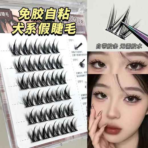 魔法色彩假睫毛6排免胶犬系 大容量懒人小奶狗漫画眼睫毛超自然芭比仿免卸新手易上手 商品图0