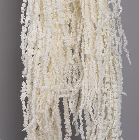 吊米-永生花 垂吊型干花 商品图3