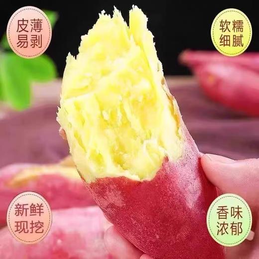 安福板栗红薯500g 商品图3