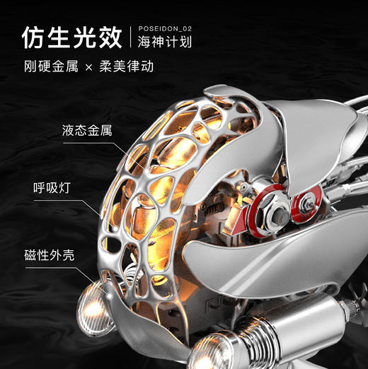 极械 鹦鹉螺 金属艺术品拼装摆件 成品板 商品图4