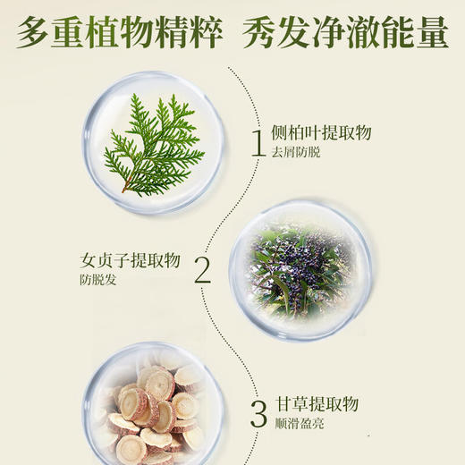 【分仓直发包邮】霸王防脱控油型洗发水400ml 商品图1