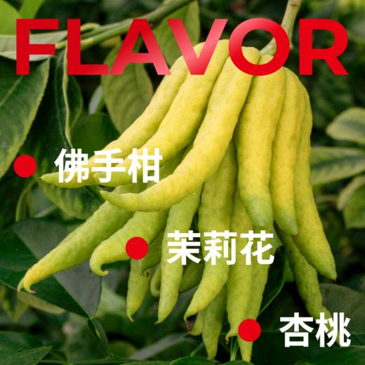 捌比特 巴拿马绿标瑰夏 多品种 水洗 浅度烘焙 精品咖啡豆/100g 商品图6