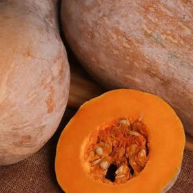 安福蜜本南瓜500g