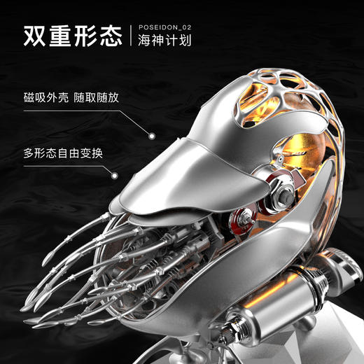 极械 鹦鹉螺 金属艺术品拼装摆件 成品板 商品图3