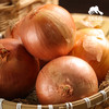 生态大漠洋葱（邮政包裹，买5斤送2斤） | 合作生产Ecological desert onion | Partner Production 商品缩略图2