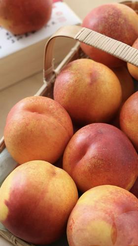 新疆秋蜜黄油桃单价