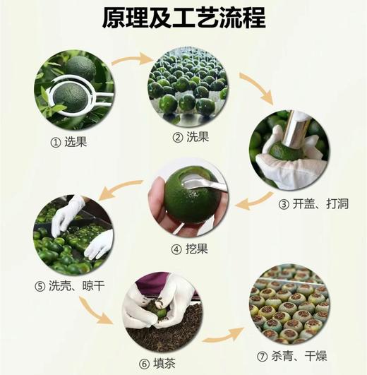 新会小青柑 商品图3