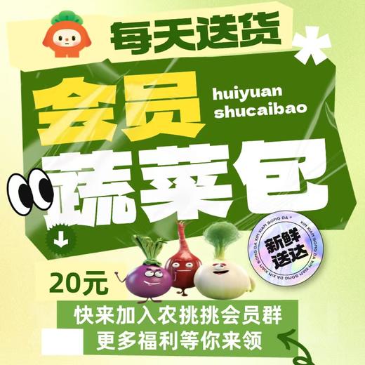 时鲜蔬菜包 商品图0