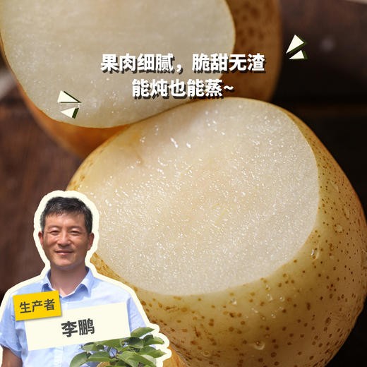 有机黄金梨 | 合作生产 *Organic gold-pear | Partner Production 商品图0