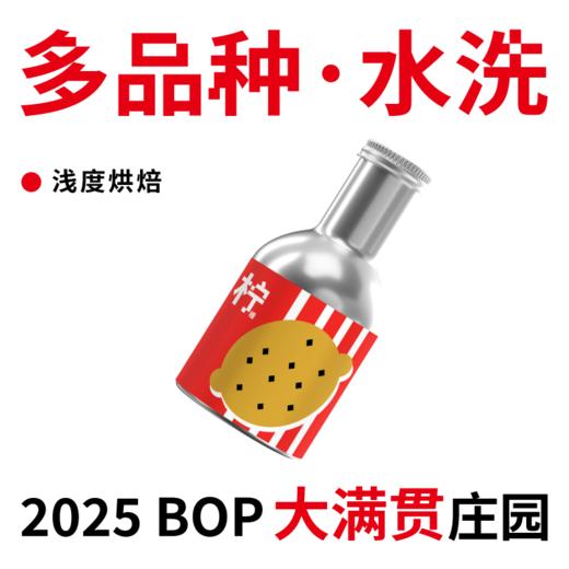 捌比特 巴拿马绿标瑰夏 多品种 水洗 浅度烘焙 精品咖啡豆/100g 商品图1