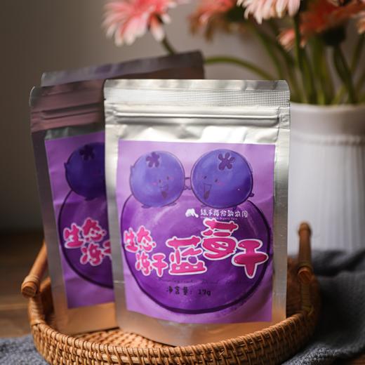 有机冻干蓝莓 17g/袋*5  厂家直发全国包邮配送（偏远地区除外） 商品图0