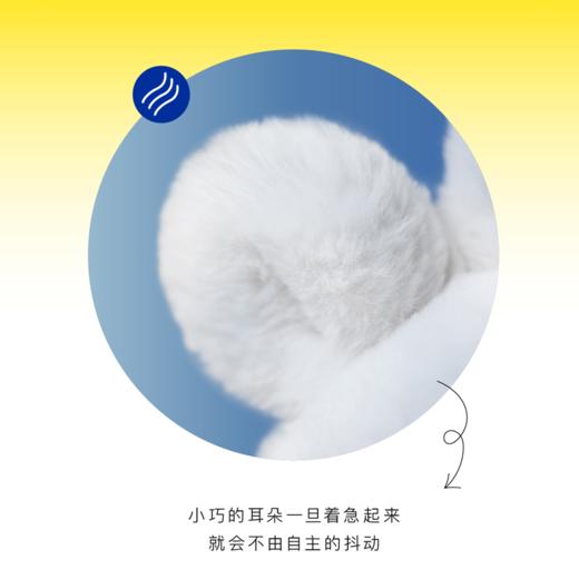 SUNNYMORE 甜甜圈-40*20cm-毛绒摆件SYMC886013 商品图1