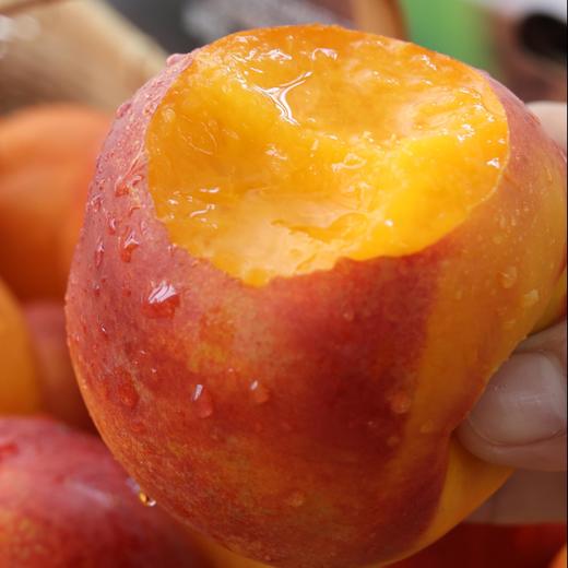 新疆秋蜜黄油桃4斤礼盒装 商品图0