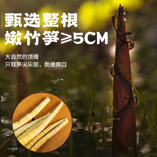 有你一面贵州酸汤牛肉面295g 商品图2