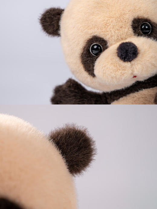 SUNNYMORE 可可熊-27*12cm-毛绒摆件SYMC150057 商品图2