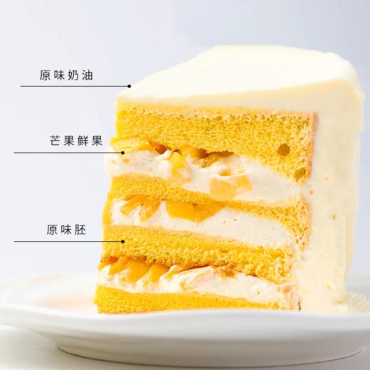 十二星座—射手座(11.23-12.21) 商品图2