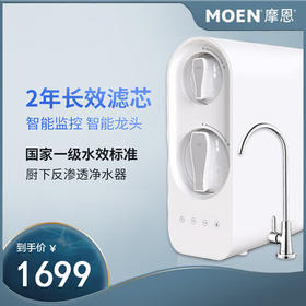 摩恩（MOEN）厨下家用RO反渗透直饮净水器自来水厨房过滤器R45020（400加仑）+FT1010