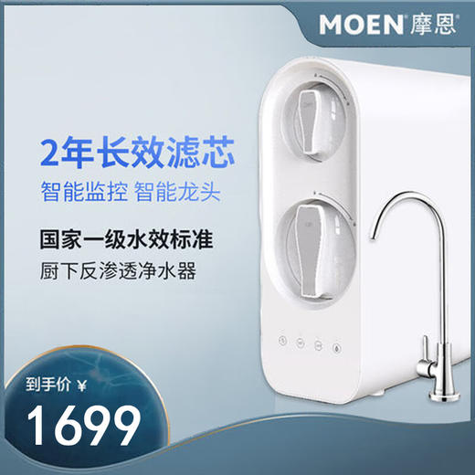 摩恩（MOEN）厨下家用RO反渗透直饮净水器自来水厨房过滤器R45020（400加仑）+FT1010 商品图0