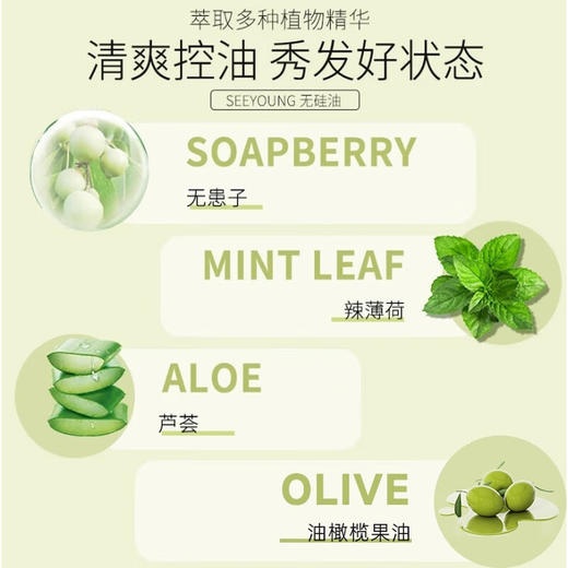 【分仓直发包邮】滋源无患子洗头水（控油清爽）无硅油535ml 商品图2