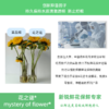 “花之谜”通用型鲜花保鲜剂10包/袋 商品缩略图2
