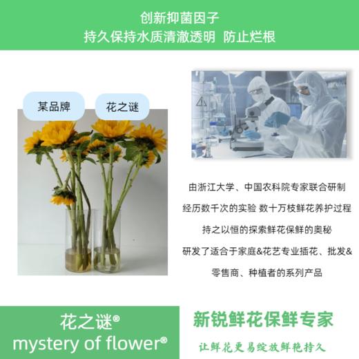 “花之谜”通用型鲜花保鲜剂10包/袋 商品图2