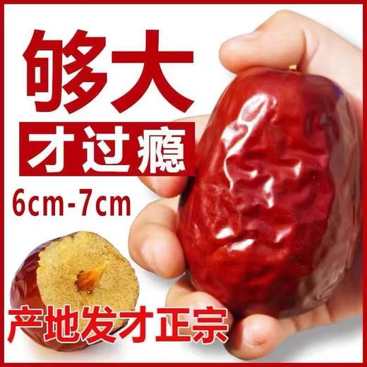 新疆骏枣超特和田大枣骏枣王  新疆大枣 特产美食 休闲零食 商品图8