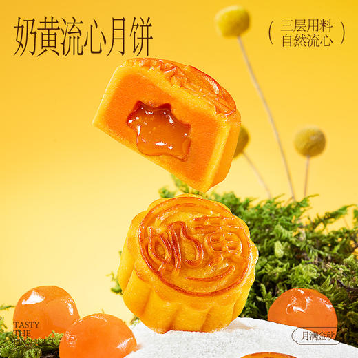 月满金秋月饼礼盒440g【55g*8枚】--纸盒+手提袋 [礼御团圆] 商品图2