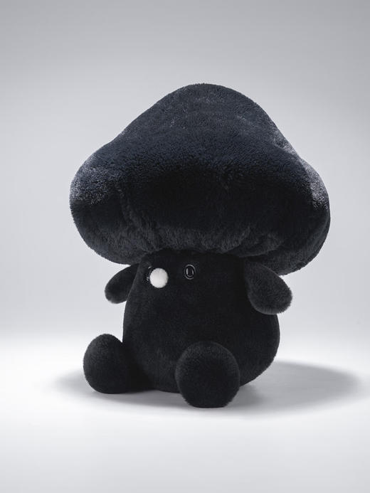 SUNNYMORE 漆漆-30*22cm-毛绒摆件SYMC150248 商品图1