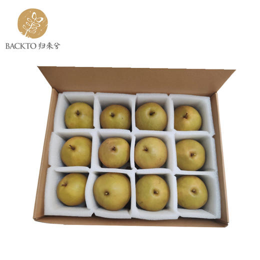 归来兮生态梨 多规格可选（品种：黄色秋月梨 ）江浙沪皖配送 商品图1