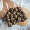 生态即食鹌鹑蛋（带壳）多口味多规格可选  厂家直发全国包邮配送（偏远地区除外） 商品缩略图1