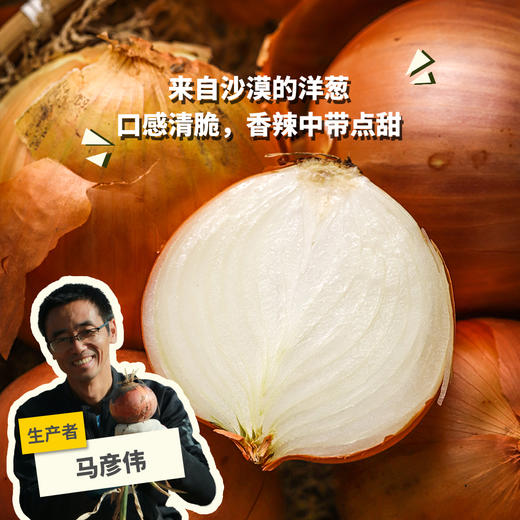 生态大漠洋葱（邮政包裹，买5斤送2斤） | 合作生产Ecological desert onion | Partner Production 商品图0
