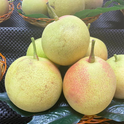 红梨 约1000g/份（脆甜可口，汁水充沛） 商品图0