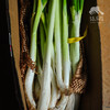 生态大葱（赠送艾草皂一块） | 合作生产*Ecological Scallion | Partner Production 商品缩略图3