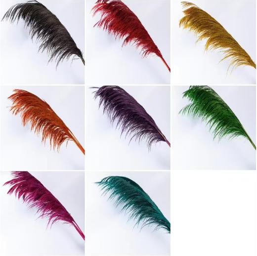 永生铁杆芦苇.（5枝/把） 商品图0