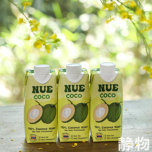 天然纯椰子水310ml｜泰国 商品图1