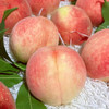 龙泉驿水蜜桃  约1000g/份（口感香甜，细腻柔嫩） 商品缩略图1