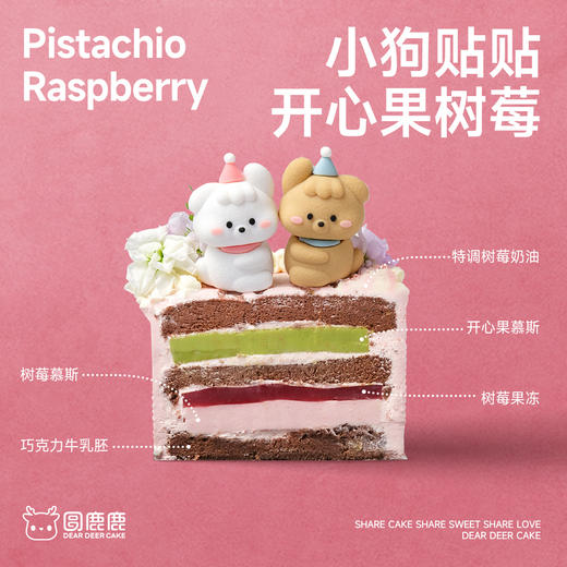 小狗贴贴·开心果树莓 商品图1