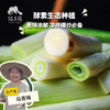 生态大葱（赠送艾草皂一块） | 合作生产*Ecological Scallion | Partner Production 商品缩略图0